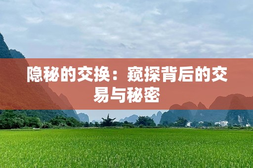 隐秘的交换：窥探背后的交易与秘密