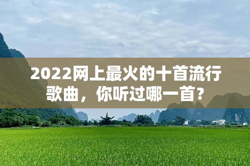 2022网上最火的十首流行歌曲，你听过哪一首？