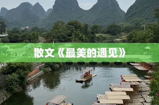 散文《最美的遇见》