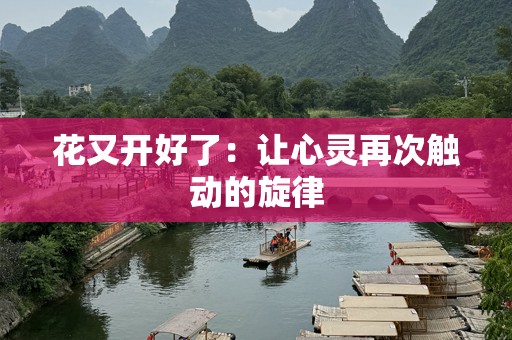 花又开好了：让心灵再次触动的旋律