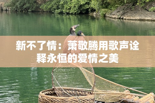 新不了情：萧敬腾用歌声诠释永恒的爱情之美