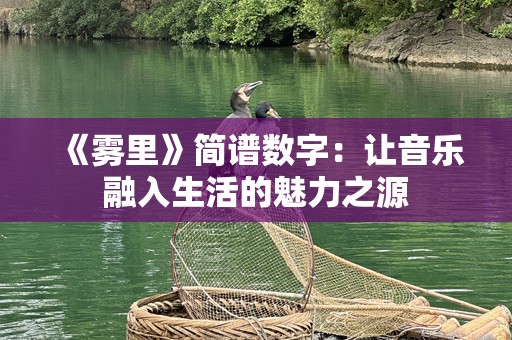 《雾里》简谱数字：让音乐融入生活的魅力之源