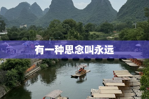有一种思念叫永远