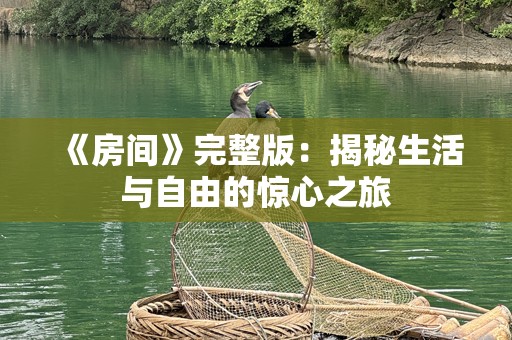 《房间》完整版：揭秘生活与自由的惊心之旅