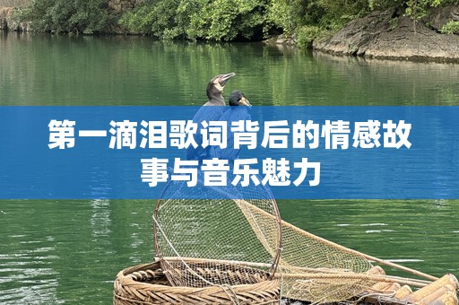 第一滴泪歌词背后的情感故事与音乐魅力