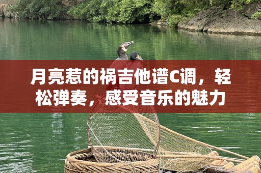 月亮惹的祸吉他谱C调，轻松弹奏，感受音乐的魅力