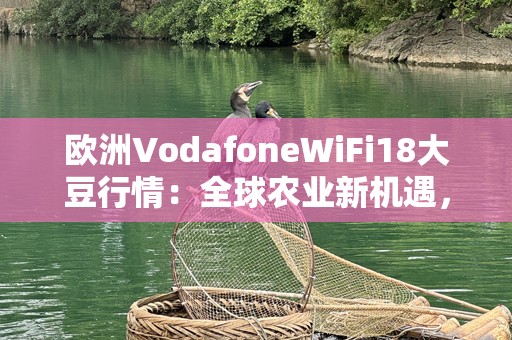 欧洲VodafoneWiFi18大豆行情：全球农业新机遇，如何抢占先机？