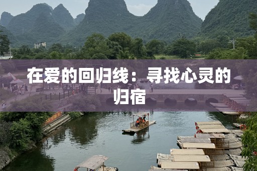 在爱的回归线：寻找心灵的归宿