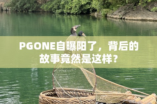 PGONE自曝阳了，背后的故事竟然是这样？