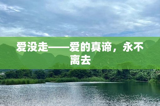 爱没走——爱的真谛，永不离去