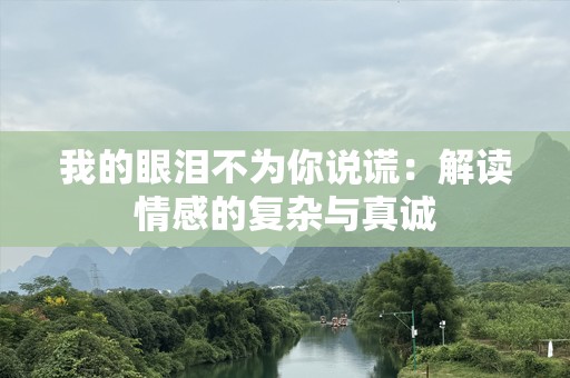 我的眼泪不为你说谎：解读情感的复杂与真诚