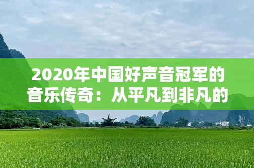 2020年中国好声音冠军的音乐传奇：从平凡到非凡的蜕变