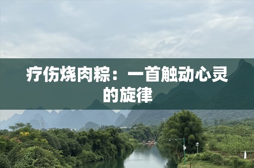 疗伤烧肉粽：一首触动心灵的旋律