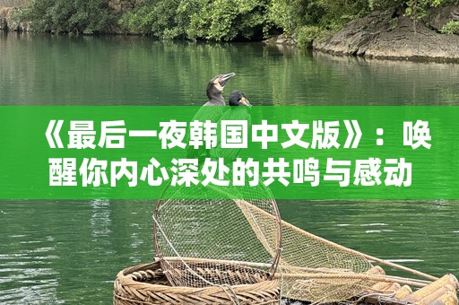 《最后一夜韩国中文版》：唤醒你内心深处的共鸣与感动
