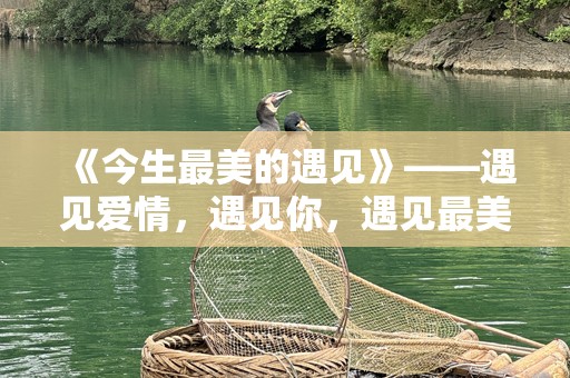 《今生最美的遇见》——遇见爱情，遇见你，遇见最美的时光