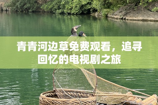 青青河边草免费观看，追寻回忆的电视剧之旅