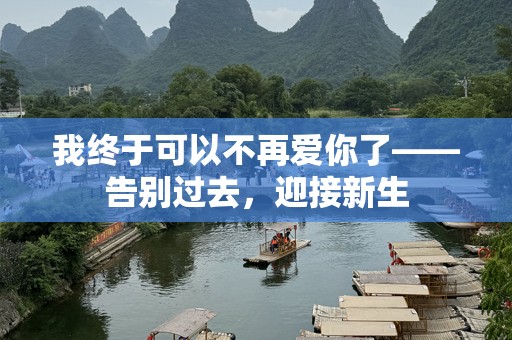 我终于可以不再爱你了——告别过去，迎接新生