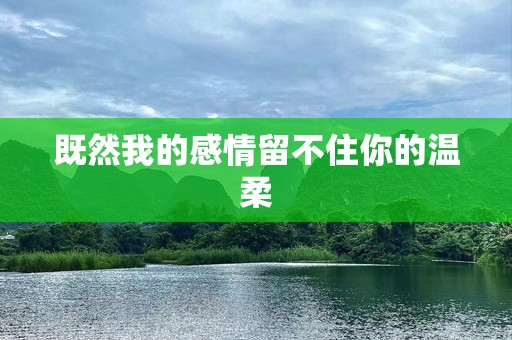 既然我的感情留不住你的温柔