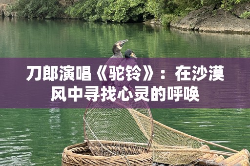 刀郎演唱《驼铃》：在沙漠风中寻找心灵的呼唤