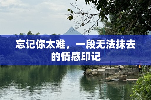 忘记你太难，一段无法抹去的情感印记