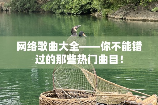 网络歌曲大全——你不能错过的那些热门曲目！