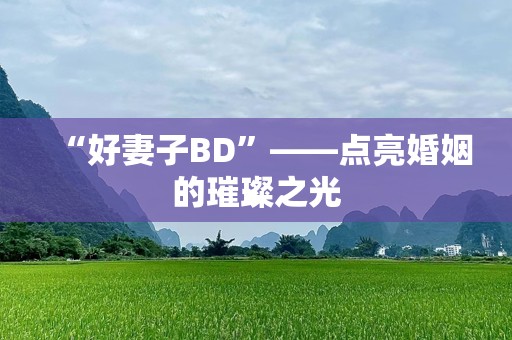 “好妻子BD”——点亮婚姻的璀璨之光