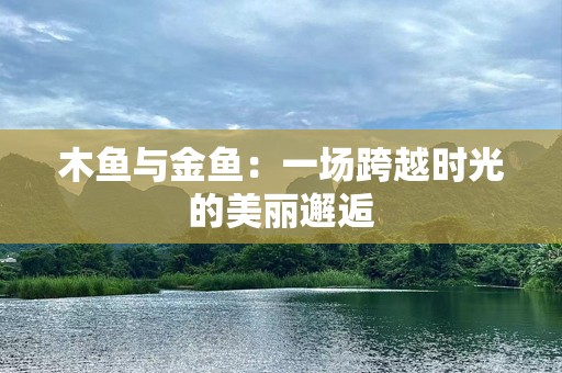 木鱼与金鱼：一场跨越时光的美丽邂逅