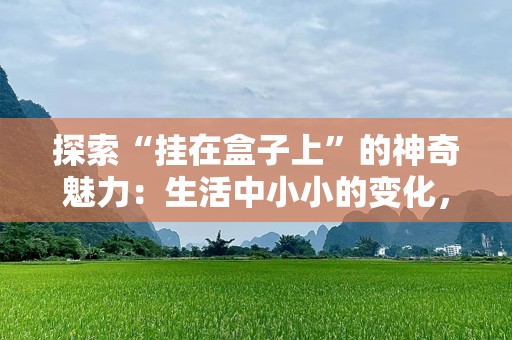 探索“挂在盒子上”的神奇魅力：生活中小小的变化，带来大大的舒适