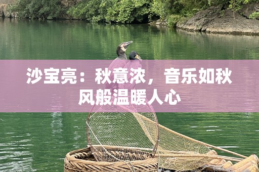 沙宝亮：秋意浓，音乐如秋风般温暖人心