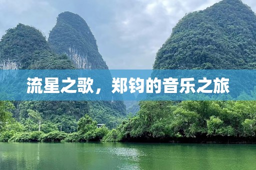 流星之歌，郑钧的音乐之旅