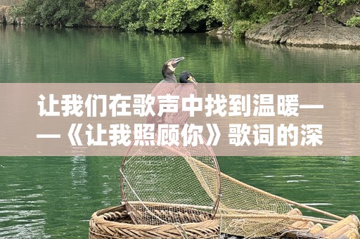 让我们在歌声中找到温暖——《让我照顾你》歌词的深情解读
