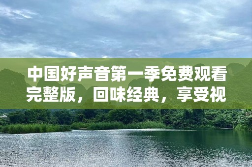 中国好声音第一季免费观看完整版，回味经典，享受视听盛宴