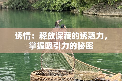 诱情：释放深藏的诱惑力，掌握吸引力的秘密