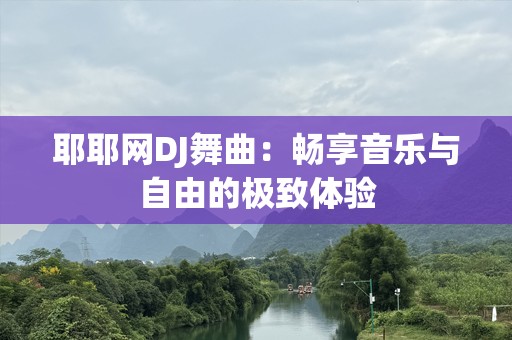 耶耶网DJ舞曲：畅享音乐与自由的极致体验