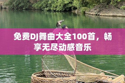 免费DJ舞曲大全100首，畅享无尽动感音乐