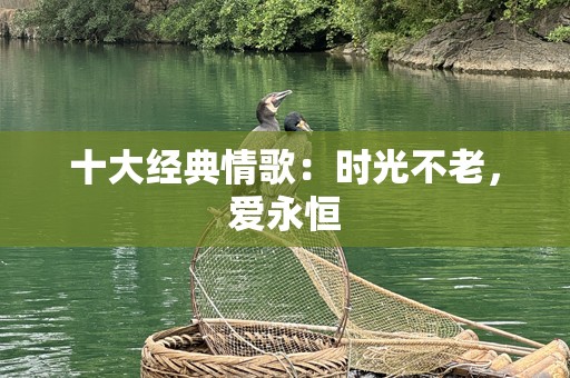 十大经典情歌：时光不老，爱永恒