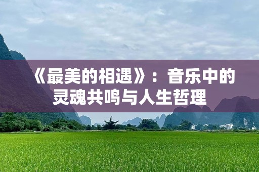 《最美的相遇》：音乐中的灵魂共鸣与人生哲理