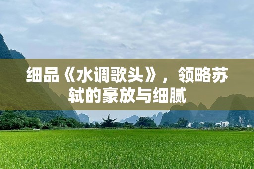 细品《水调歌头》，领略苏轼的豪放与细腻