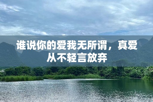 谁说你的爱我无所谓，真爱从不轻言放弃