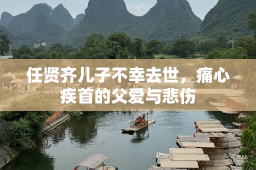 任贤齐儿子不幸去世，痛心疾首的父爱与悲伤