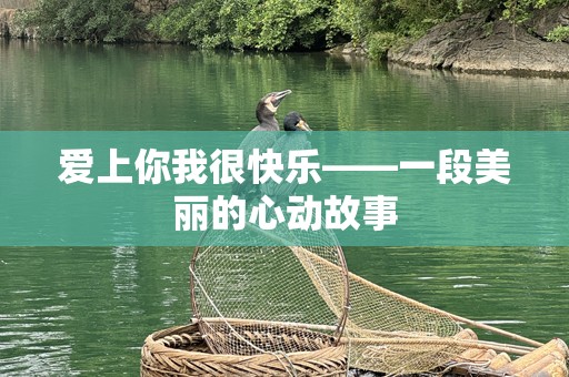 爱上你我很快乐——一段美丽的心动故事
