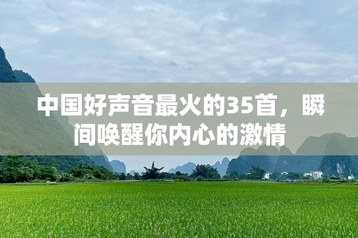 中国好声音最火的35首，瞬间唤醒你内心的激情
