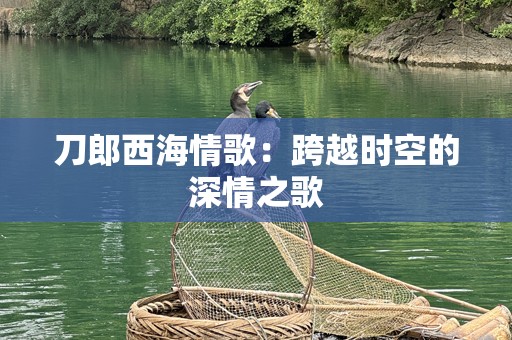 刀郎西海情歌：跨越时空的深情之歌