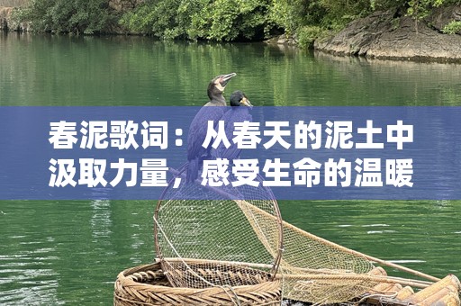 春泥歌词：从春天的泥土中汲取力量，感受生命的温暖与希望