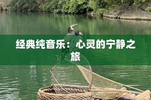 经典纯音乐：心灵的宁静之旅