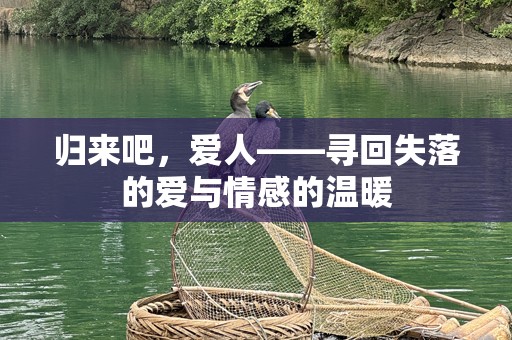 归来吧，爱人——寻回失落的爱与情感的温暖