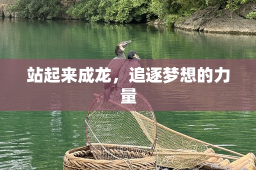 站起来成龙，追逐梦想的力量