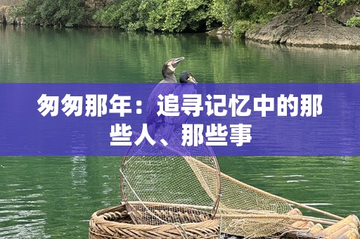 匆匆那年：追寻记忆中的那些人、那些事