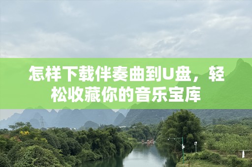 怎样下载伴奏曲到U盘，轻松收藏你的音乐宝库