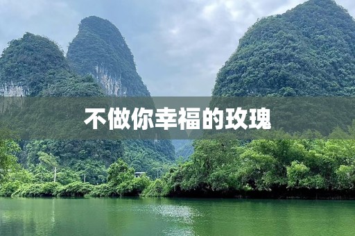 不做你幸福的玫瑰